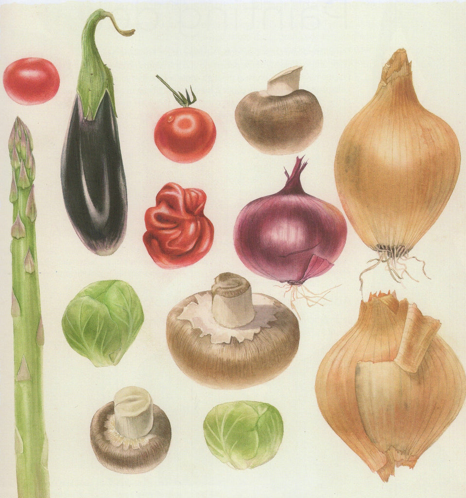 Kindle & Grace Classes Botanical Painting - Weekday Class (Monthly - 3weeks)