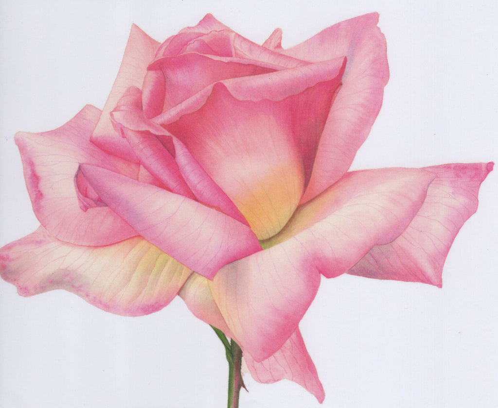 Kindle & Grace Classes Botanical Painting - Weekday Class (Monthly - 3weeks)